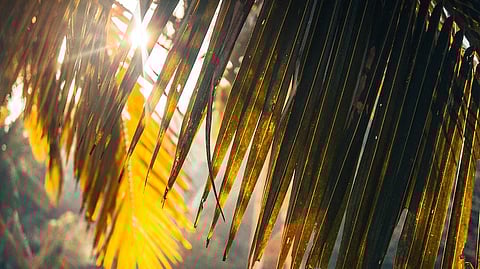 Colorado is experiencing shorter winters and hotter summers that are increasingly putting people at risk for heat-related illnesses (Image Source-Unsplash)