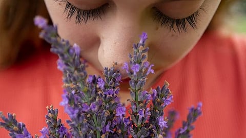 New research has revealed the extent of sensory loss among people suffering from long Covid, with around 30% reporting a decreased sense of smell (Unsplash)