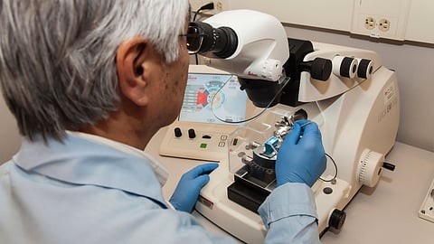 The National Cancer Institute has awarded a five-year, $13.3 million grant to a collaborative study on sequential combinations of targeted inhibitors and immunotherapies against cancer.(Unsplash)