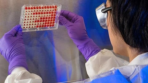 Studies show how skin forms differently across the body (CDC PHIL)