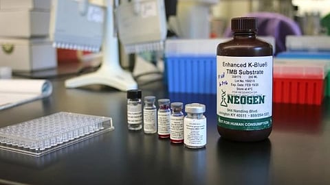 The novel microneedle pills which could replace injection (CDC PHIL)