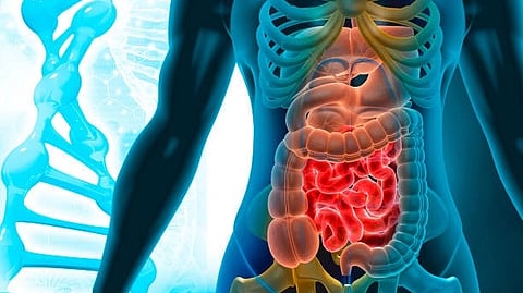 The targeted therapy fruquintinib significantly improved overall survival (OS) and progression-free survival (PFS) in patients (Unsplash)