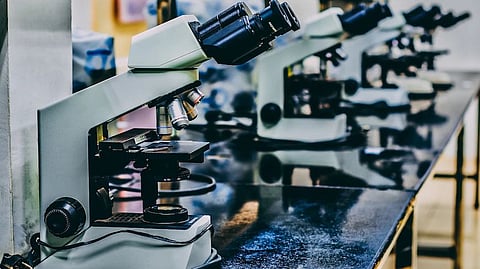 UTSW study suggests fat cells near malignant breast tumors morph into other cell types, creating ‘fertile soil’ for the disease (Image source-Unsplash)