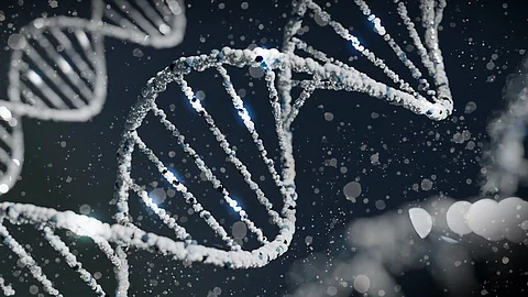 Research from the Reik lab at the Babraham Institute has advanced our understanding of the role of DNA methylation during the earlier stages of development (Unsplash)