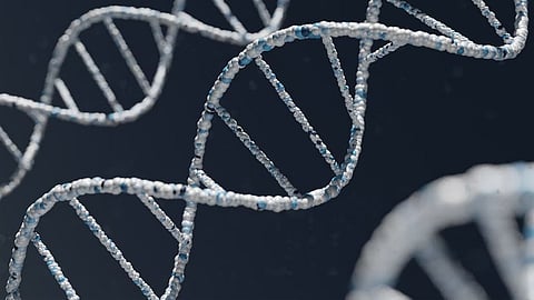 A multidisciplinary team of researchers have discovered that the motion of chromatin, the material that DNA is made of, can help facilitate effective repair of DNA damage in the human nucleus (representational image - Unsplash)