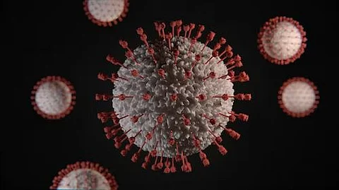 SARS-CoV-2, the virus that causes COVID-19, is an airborne disease transmitted via aerosols, which are spread from the oral and nasal cavities—the mouth and the nose. (Unsplash)