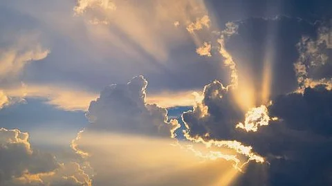 It’s the vitamin that we get from the sun, yet despite its ample availability, one in three Australian adults still suffer from mild, moderate or severe vitamin D deficiency.