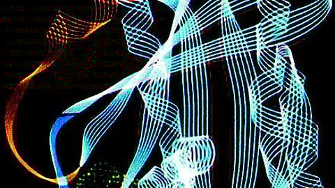 The key to the new cardiomyocyte-making technique turned out to be a gene activity-controlling protein called Ascl1, which is known to be a crucial protein involved in turning fibroblasts into neurons (Wikimedia Commons)