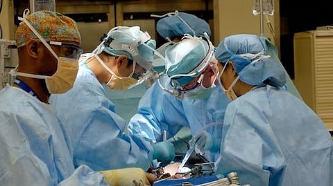 Tokyo, Japan – The process of metastasis is when cancer cells gain motility and spread to other sites of the body. Because this is one of the main causes of cancer-related deaths, researchers have aimed to develop therapeutic strategies that can block metastasis.(unsplash)