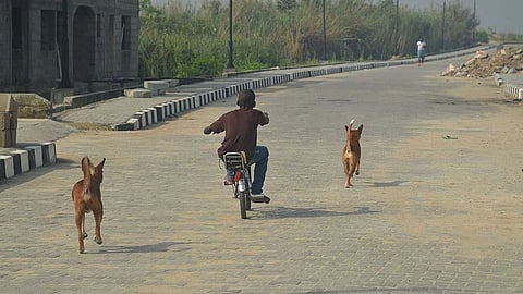 The boy was captured on CCTV from a number of locations along the path. It was unclear where he slept or even took any rest (Representational Image: Wikimedia Commons)