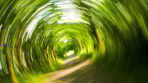 Remote Diagnosis to Rule Out Benign Cause of Dizziness and Vertigo(Pixabay)
