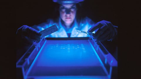 A joint research team led by Professor Yongdae Shin and Do-Nyun Kim at Seoul National University announced that they harnessed the unique properties of the self-assembling DNA molecules to build synthetic condensates with programmable compositions and functionalities.