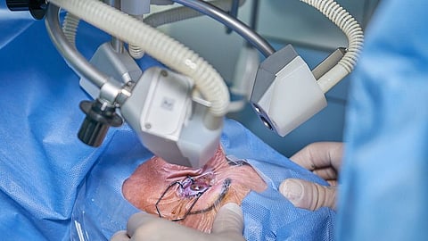 Ophthalmologists may be able to safely cut back on having anesthesiologists or nurse anesthetists routinely at bedside during cataract surgery (Image source-Unsplash)