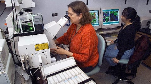 Confocal microscopy for observing cell nucleus, the recruitment of Smc5/6 by SLF2 into PML bodies. (CDC PHIL)