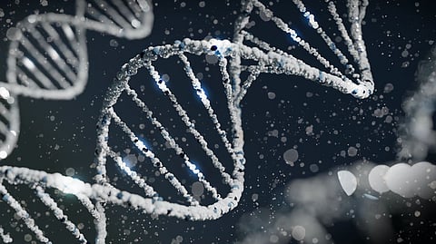 New Gene Strategy Led to Treatments for Inherited Diseases(Unsplash)