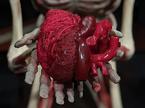 Chronic heart failure causes the cell’s powerhouses to dysfunctional.   (Image: Pixabay)