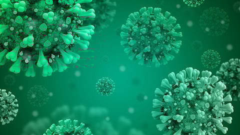 The researchers analysed samples for antibodies against SARS-CoV-2 and latent viruses, and found a special fingerprint of antibodies against common herpes viruses in saliva.(Image : Pixabay)