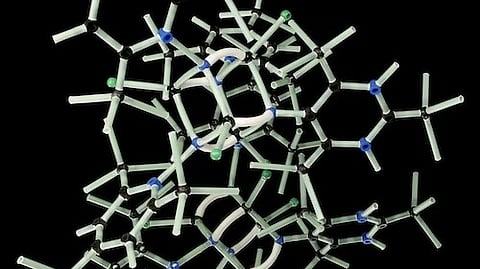 A research team under the lead of the Technical University of Munich has now developed “mini-proteins”, so-called peptides, which are able to bind the proteins that form amyloids and prevent their aggregation into cytotoxic amyloids. (Unsplash)