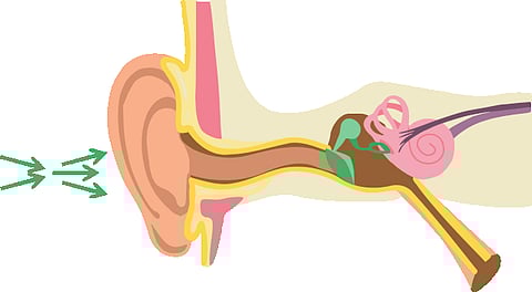 Our brains “time-stamp” the order of incoming sounds, allowing us to correctly process the words that we hear, shows a new study by a team of psychology and linguistics researchers.