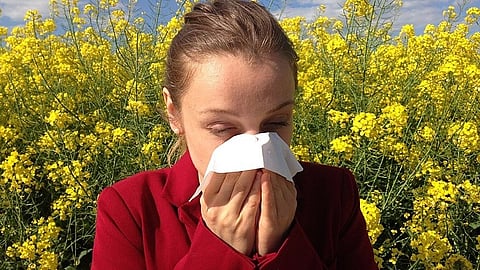 A depiction of allergies. (Wikipedia commons)