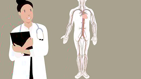 Restored blood flow meant less pain, better quality of life for those with leg artery disease(Image: Pixabay)