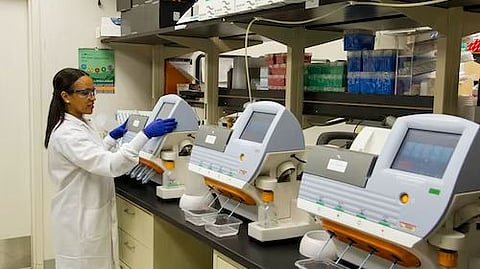 Stretchable Battery Packaging-Power the Future of Wearable Devices(Unsplash)