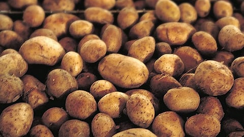 Potatoes. Wikimedia Commons.