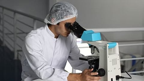 Enzyme Drives Cognitive Decline in Mice, Provides New Target for Alzheimer’s. (Unsplash)