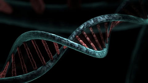 Artificial DNA approach is different from conventional anticancer drug treatments and is hoped to bring about a new era of drug development