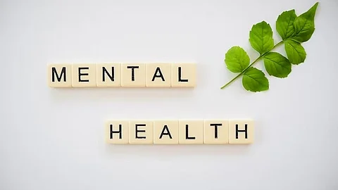 Economic instability, food hardship, and exposure to neighborhood violence are examples of social and environmental factors that affect mental health and also raise the risk of violence or self-harm in an individual
