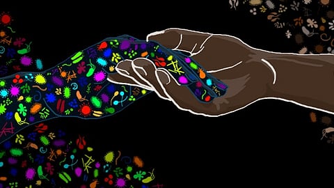 A wide variety of micro-organisms, such as bacteria, viruses and yeasts, live on and in the human body. All those microorganisms together are called the microbiome. The microbiome is necessary for optimal physical functioning; for example, through the production of essential nutrients and protection against pathogens.