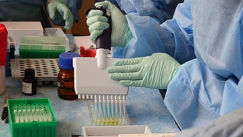 The APOBEC3 family of enzymes is capable of mutating RNA or DNA—by chemically modifying a cytosine nucleotide (letter “C” in the genetic code). This can result in an erroneous nucleotide at that position. The normal roles of these enzymes, including APOBEC3G, are to fight retroviruses like HIV—they attempt to hobble viral replication by mutating the cytosines in the viral genome.