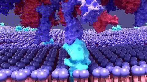 Scientists discover the principle of light-induced acceleration of antigen–antibody reaction, enabling detection of attogram-level proteins within 3 minutes (Unsplash)