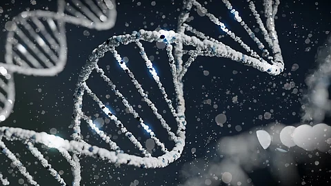 Whether radiation exposure by fathers can have consequences on their children is one of the most long-standing questions in radiation biology.