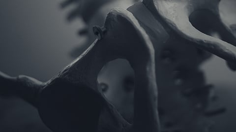 GvHD is a side effect seen in patients who have received a bone marrow transplant from a donor to treat blood cancers.(Image :Unsplash)