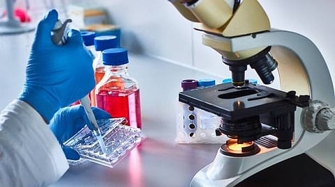 An international research group of scientists from Italy, the United States, Ireland, and Israel have published a three-year analysis of the Mesothelioma (Me) drug trial, Check-Mate 743 (CM-743). (Unsplash)