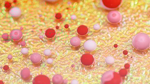 B cells are a type of white blood cell that have an important function in the immune system, in part by producing the antibodies that attack bacteria and viruses.(Image : Unsplash)