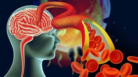Dance coordinated in human body as the motor neurons shout a "stop, now it's my turn" message to the vascular cells. To do this, they use a protein that release into their environment - semaphorin 3C. It diffuses to the vascular cells and docks there at a receptor called PlexinD1 - in a sense, this is the ear for which the molecular message is intended