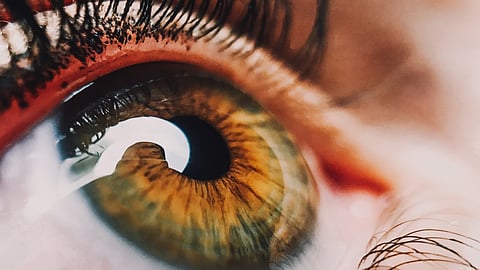 Ageing biomarkers have been associated with kidney failure.(Image : Pixabay)