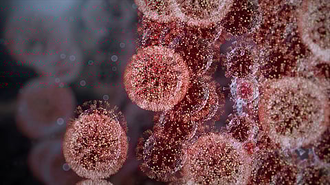 RNA viruses, such as the coronavirus that causes COVID-19, are in a life-and-death race the moment they infect a cell(Unsplash)