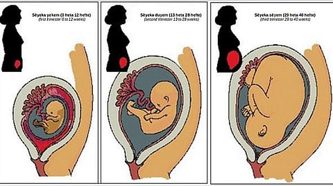 Blood test shows common and dangerous pregnancy complications. Wikimedia Commons