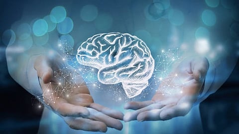 The brain performs various cognitive and behavioral functions in everyday life, flexibly transitioning to various states to carry out these functions. Scientists view the brain as a system that performs these numerous functions by controlling its states.