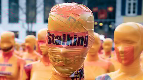 The accused is presently pursuing graduation from School of open learning. Threatening to circulate her nude pictures which he had accessed online, the accused demanded more such pictures and sought sexual favours.