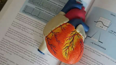 According to a recent study, young adults who experience unhappiness or depression are more likely to acquire cardiovascular disease and have poor heart health.