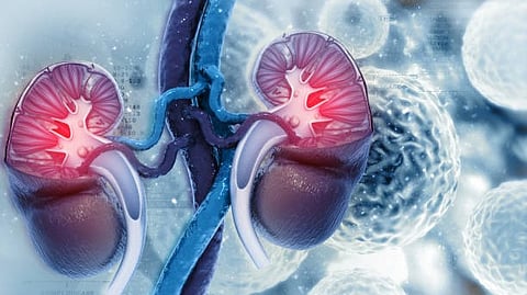 Researchers has performed the first analysis of a potentially game-changing drug to treat upper urinary tract urothelial cancers