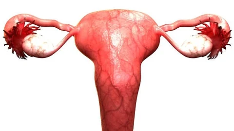 Researchers created a model that may be applied to help design services in a way that better fulfils the requirements of women using new data on women's preferences and case studies of existing practise from around the world.