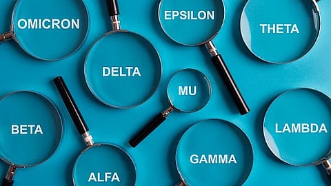 Mucosal antibodies in the airways provide durable protection against SARS-CoV-2