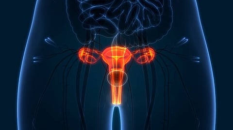 California women 65 and older are facing late-stage cervical cancer diagnoses and dying from the disease at alarming rates, according to researchers at the Cancer Center