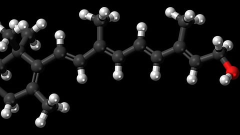 The research team, based at Hannover Medical School in Germany, induced obesity in a mouse model of vitamin A deficiency. After 20 weeks, the researchers compared the hearts and metabolism of the mice to obese mice with sufficient levels of vitamin A.