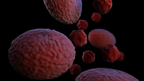 More than 4,000 babies each year are born with Alagille syndrome, which is caused by a mutation that prevents the formation and regeneration of bile ducts in the liver.